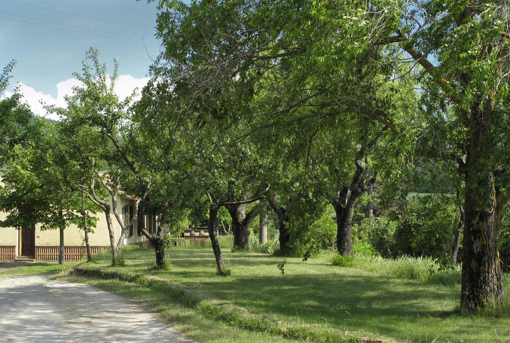 Agriturismo Il Casalone Montepulciano Stazione Kültér fotó